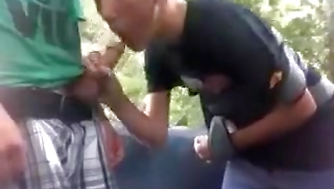 Mya, alexis and his cock sucking