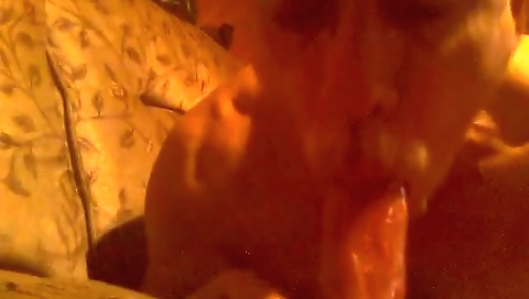 Shake al wornrurusicoi nights