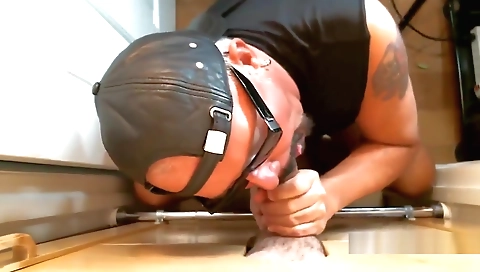 Chubby girl with the dick in her mouth