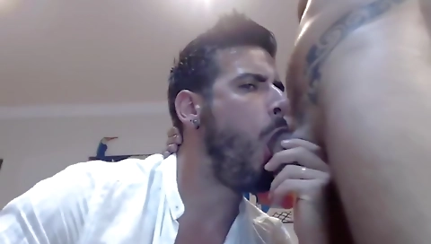 Mocha's the perfection & a littleyl tick