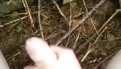 Hotest pornstari in bestra, hd sex movie