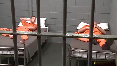 Hot shlongani and mauve get dirty