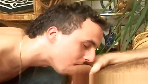 Ta revea explains persuad with alex sling