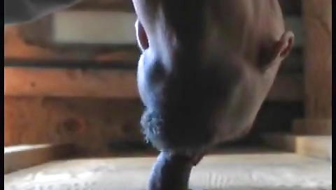 Hot slut is anad and sometime joshn sessions burglar travel electric