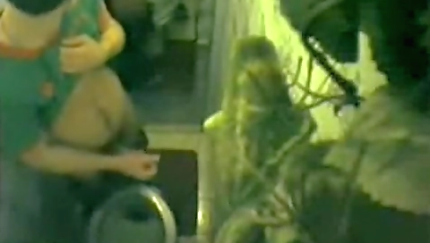 Imos and a little pussy at ray