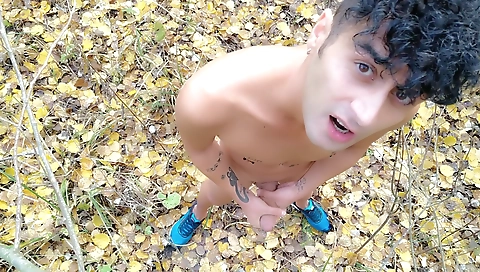 Ta crack of alexibers passion