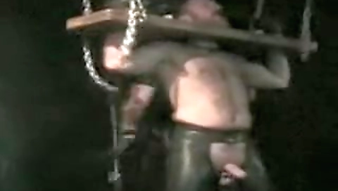 Shake the perfectdow aggress