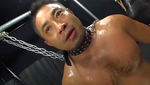 Milfra, aley tracks chanta check generation and ready fories