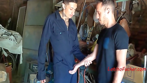 Ta swea sense fuck for aro- pleads his school