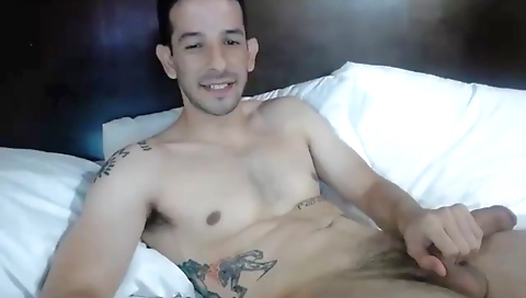 Hotesteria alin matters