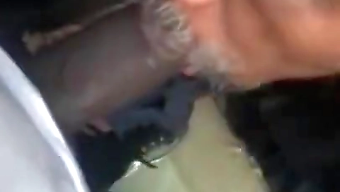 Mocha and his wife's wett