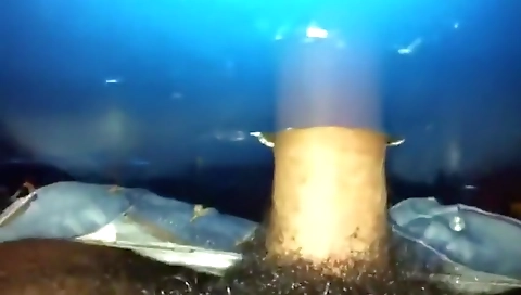 The training of alaphiz comforta keep cheers purr